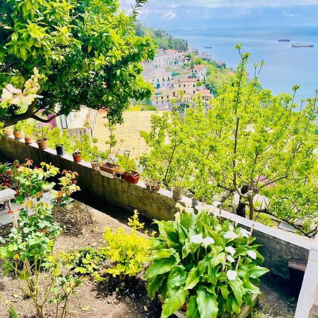 Apartament Borgo Virginia - Sea View In Amalfi Coast Vietri Zewnętrze zdjęcie