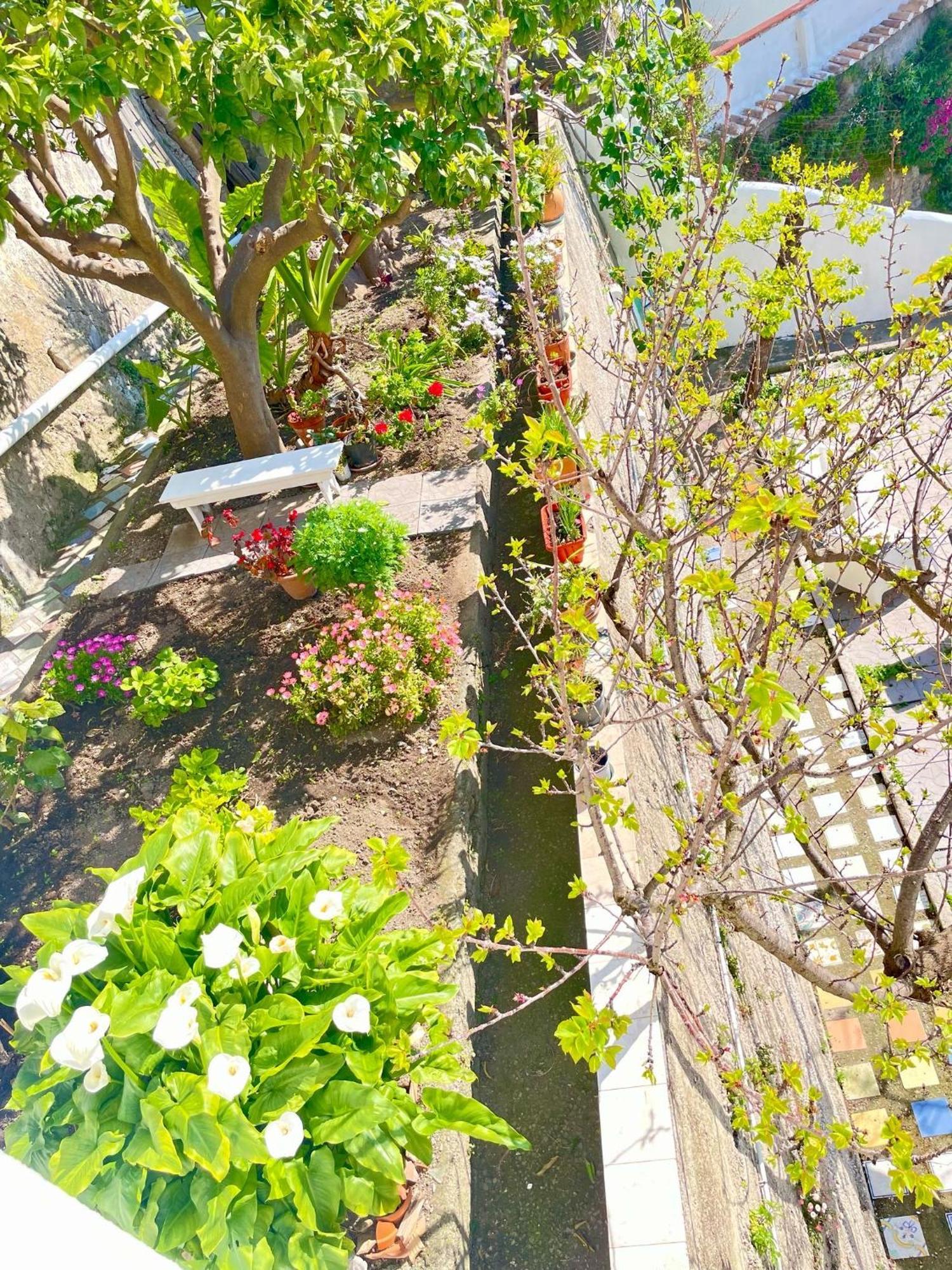 Apartament Borgo Virginia - Sea View In Amalfi Coast Vietri Zewnętrze zdjęcie